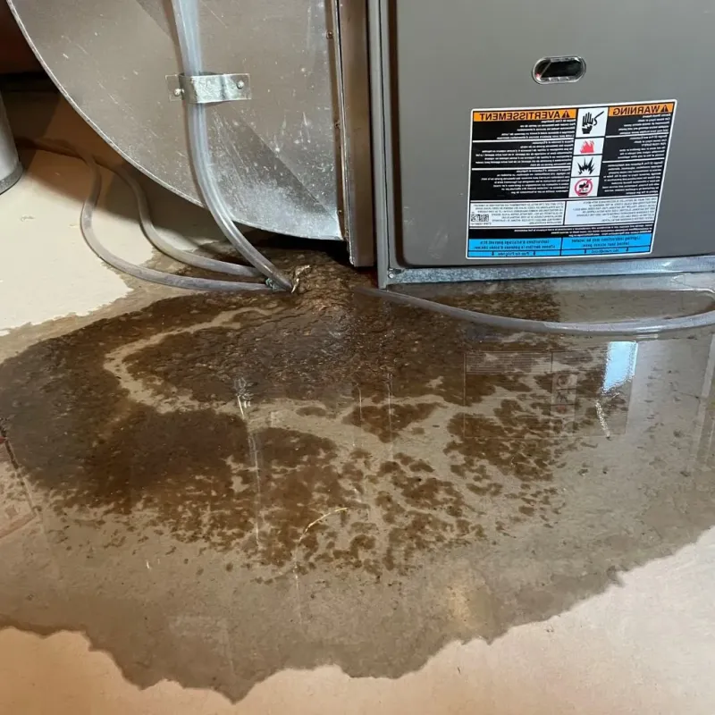Pipe Burst and Leak Restoration in Dayton, OH